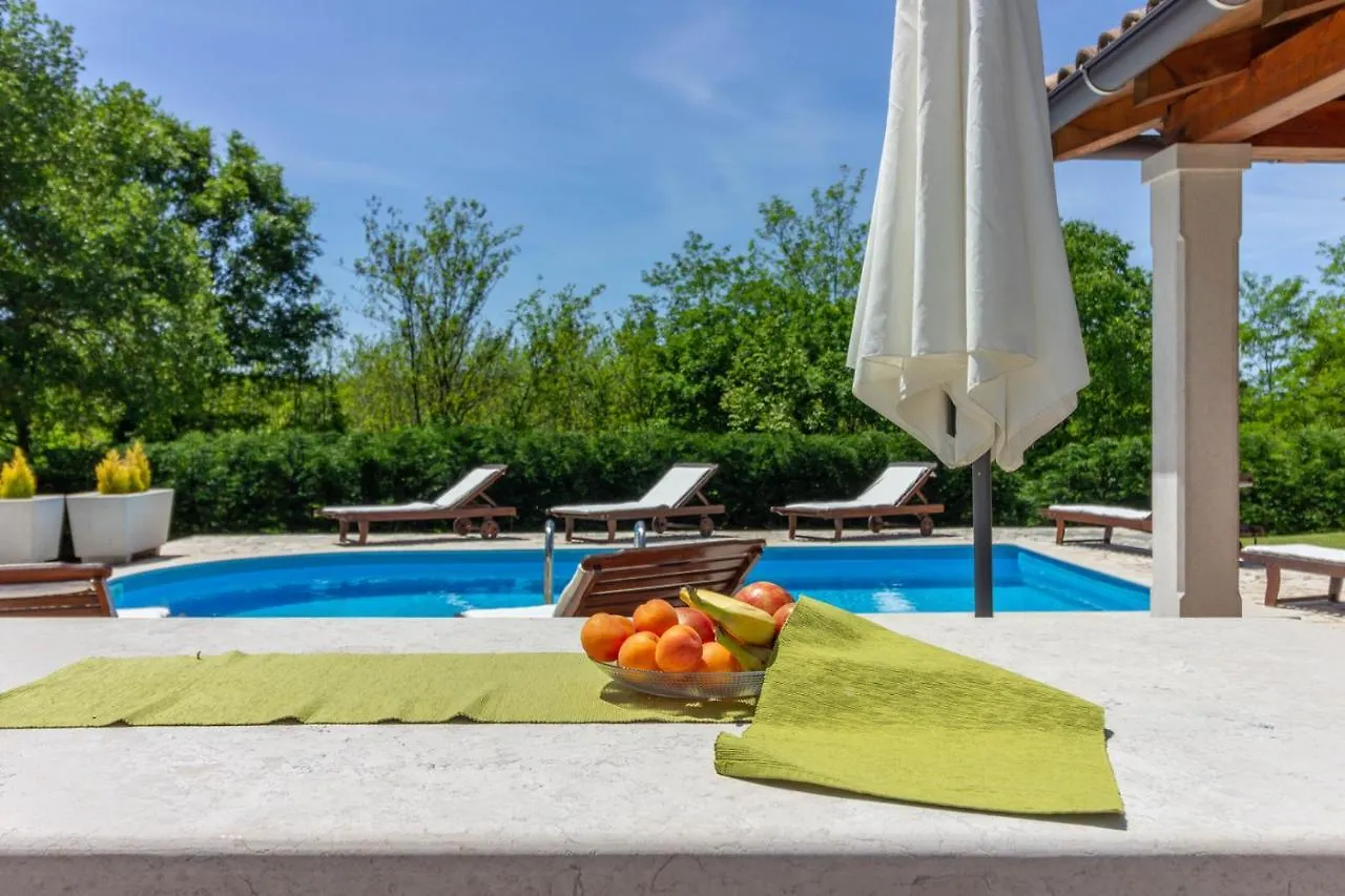 Beautiful Villa Morena With Private Swimming Pool Near Porec Basici Croatie